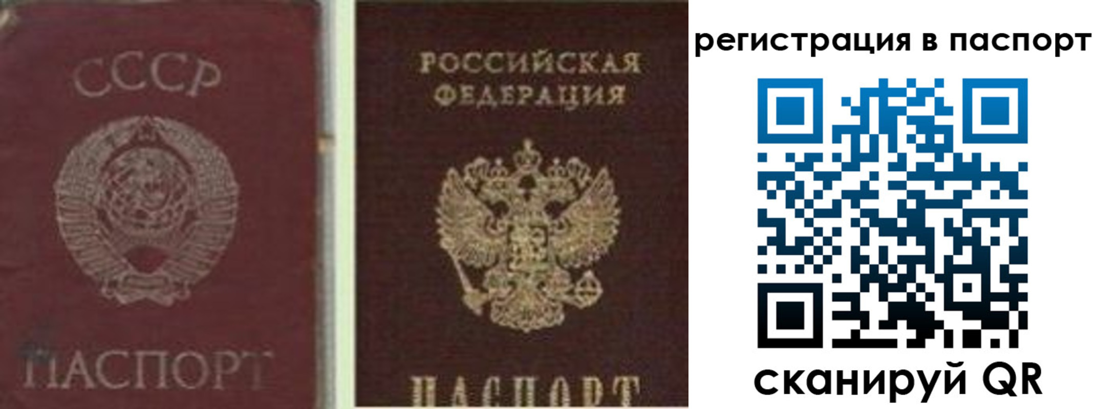 прописка для работы в Жуковке